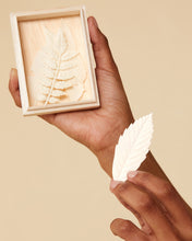 Load image into Gallery viewer, Hako Incense - Spring