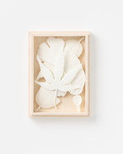 Load image into Gallery viewer, Hako Incense - Autumn