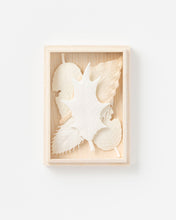 Load image into Gallery viewer, Hako Incense - Winter