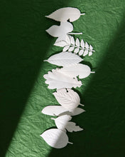 Load image into Gallery viewer, Hako Incense - Autumn