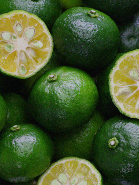 The Earth Minded Practices of Okinawan Farming